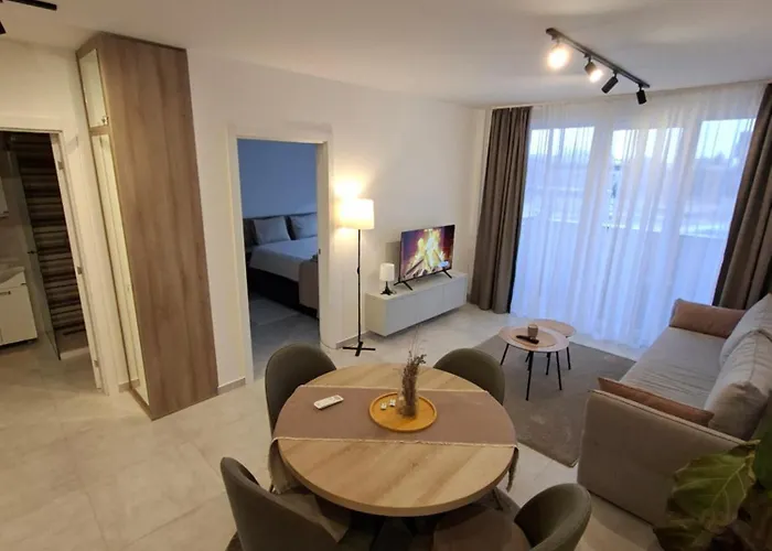 公寓 Silver 2 & Veliko Gradište